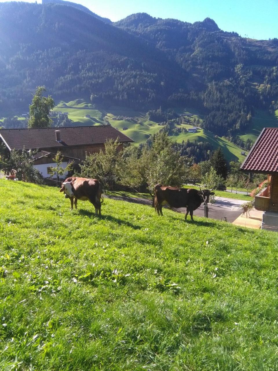 Stockhof Leilighet Zell am Ziller Eksteriør bilde